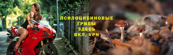 ПСИЛОЦИБИНОВЫЕ ГРИБЫ Ельня