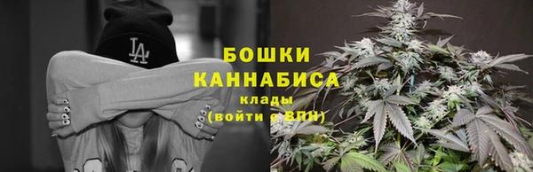ПСИЛОЦИБИНОВЫЕ ГРИБЫ Ельня