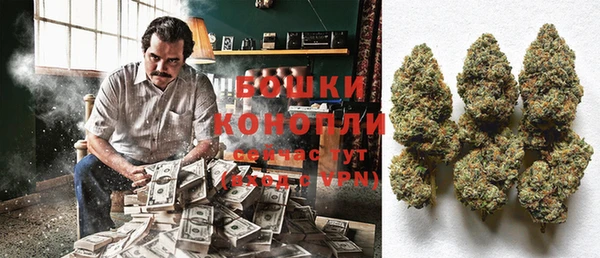 PSILOCYBIN Елабуга