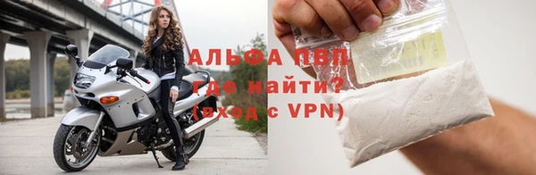ПСИЛОЦИБИНОВЫЕ ГРИБЫ Ельня