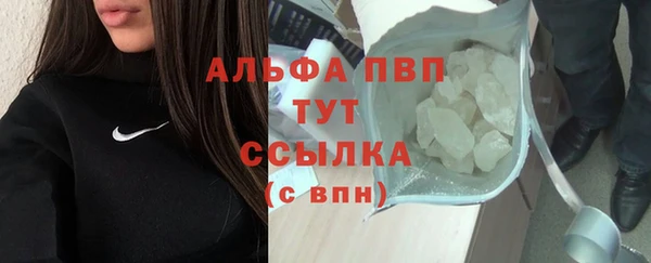 PSILOCYBIN Елабуга