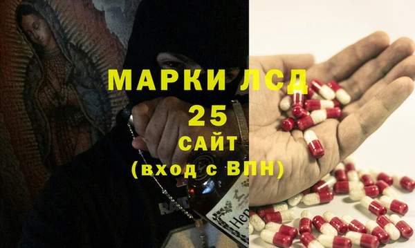 ПСИЛОЦИБИНОВЫЕ ГРИБЫ Ельня