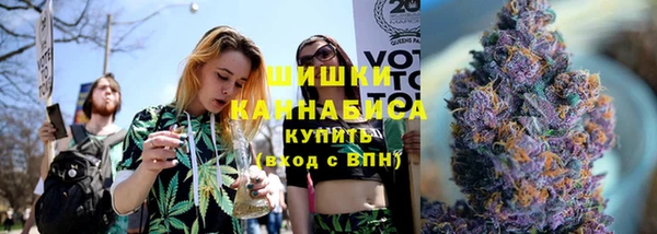 PSILOCYBIN Елабуга