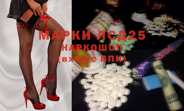 PSILOCYBIN Елабуга