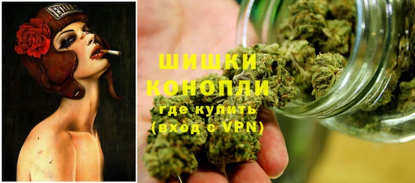 ПСИЛОЦИБИНОВЫЕ ГРИБЫ Ельня