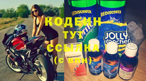 ПСИЛОЦИБИНОВЫЕ ГРИБЫ Ельня