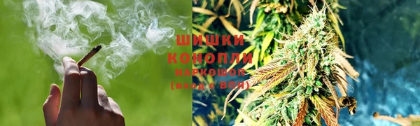 PSILOCYBIN Елабуга