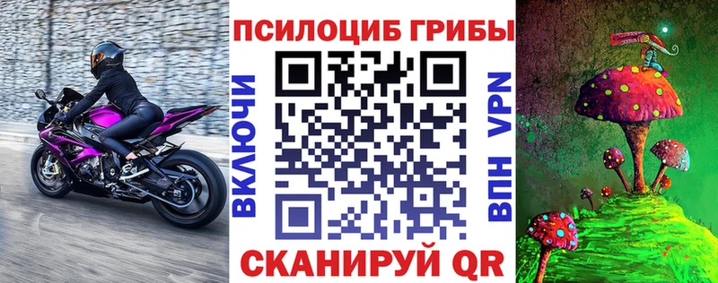 Купить где  Котлас  Галлюциногенные грибы мицелий 