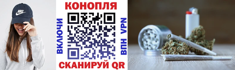 Купить закладки  Котлас  Конопля Amnesia 